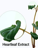 Anua Heartleaf 70 Intense - Crème apaisante