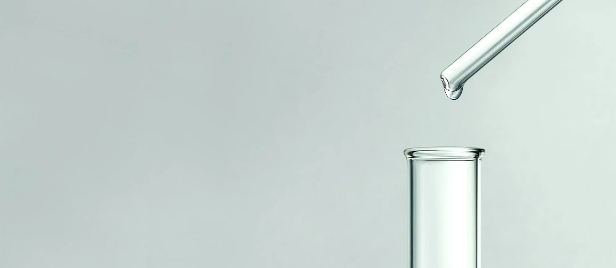 AnuaUS_Ingredient_Story_Banner_2500x1090_d4916e85-e71f-4b17-95d0-902ffd14fcc8.webp