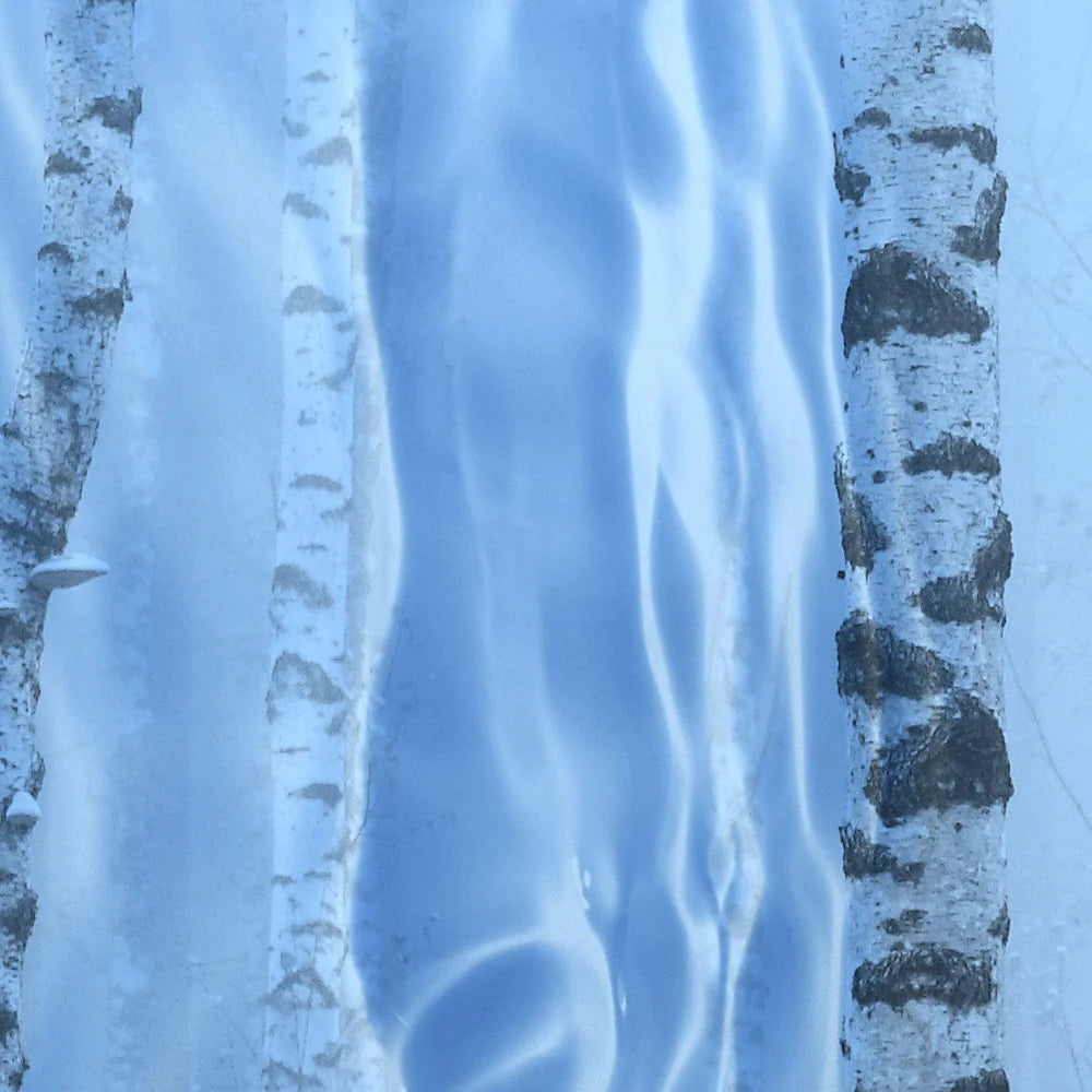 BIRCH.webp
